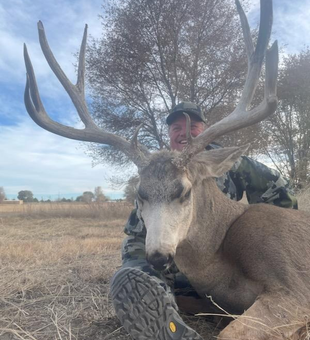 Colorado Deer Quest